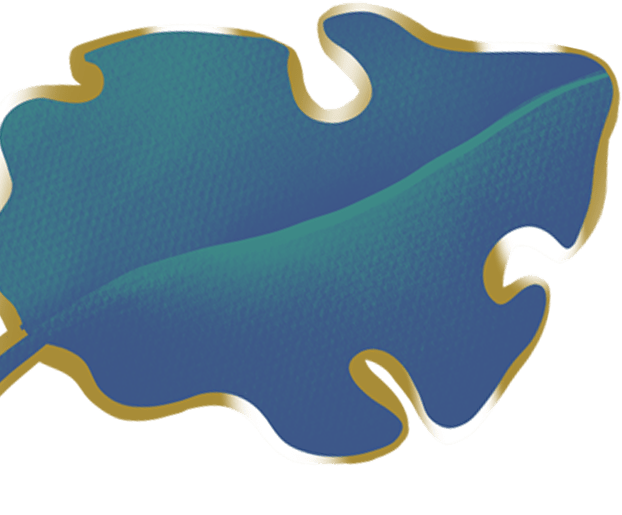 services_graphic_01
